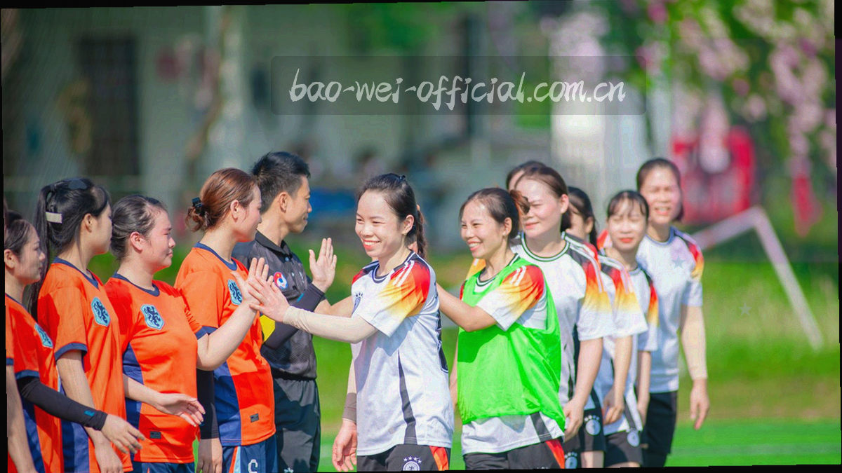 球场俯视动线与六个深浅不一的区间色块并列排布